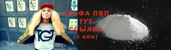 винт Надым