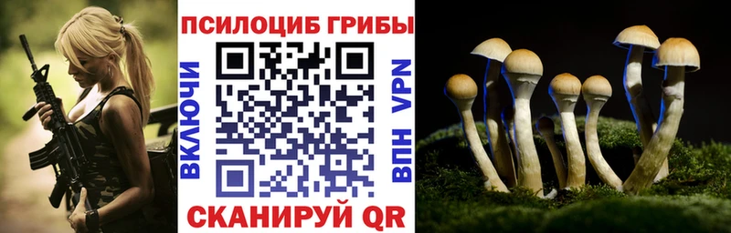 Галлюциногенные грибы прущие грибы  Оленегорск 